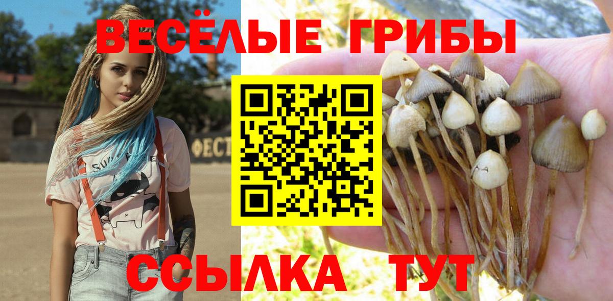 Псилоцибиновые грибы GOLDEN TEACHER  Галлюциногенные грибы ЛСД  закладка  Волжский  Вход с VPN 